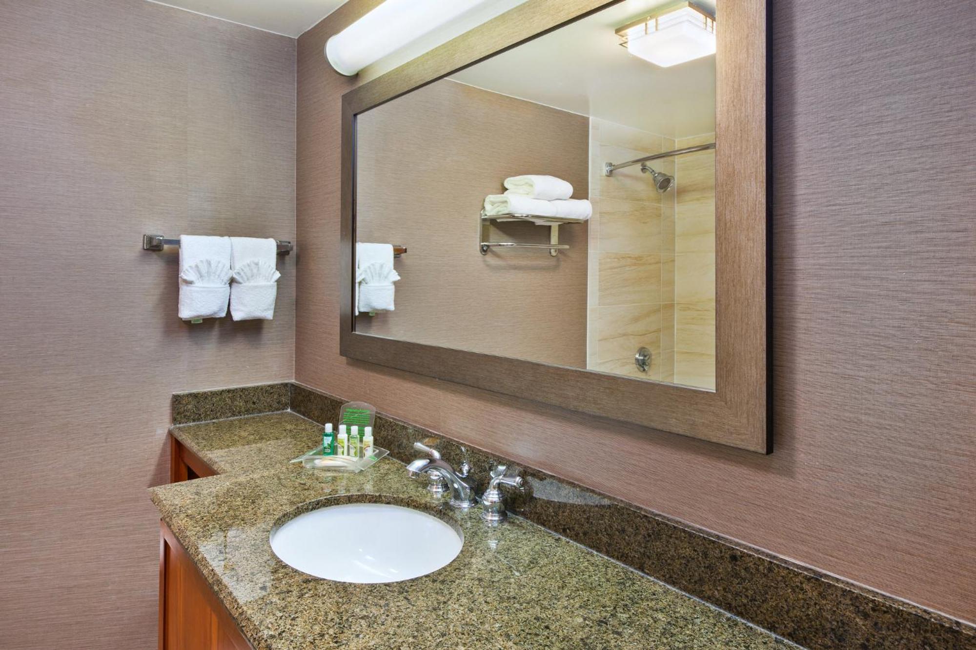 Holiday Inn Washington-Dulles International Airport By Ihg Sterling Exterior foto